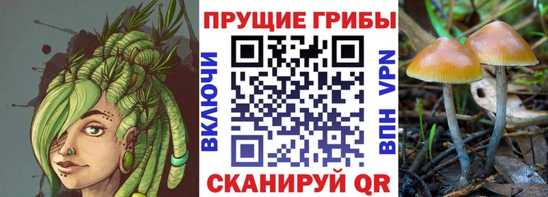 Галлюциногенные грибы GOLDEN TEACHER  блэк спрут ССЫЛКА  Островной  хочу наркоту 